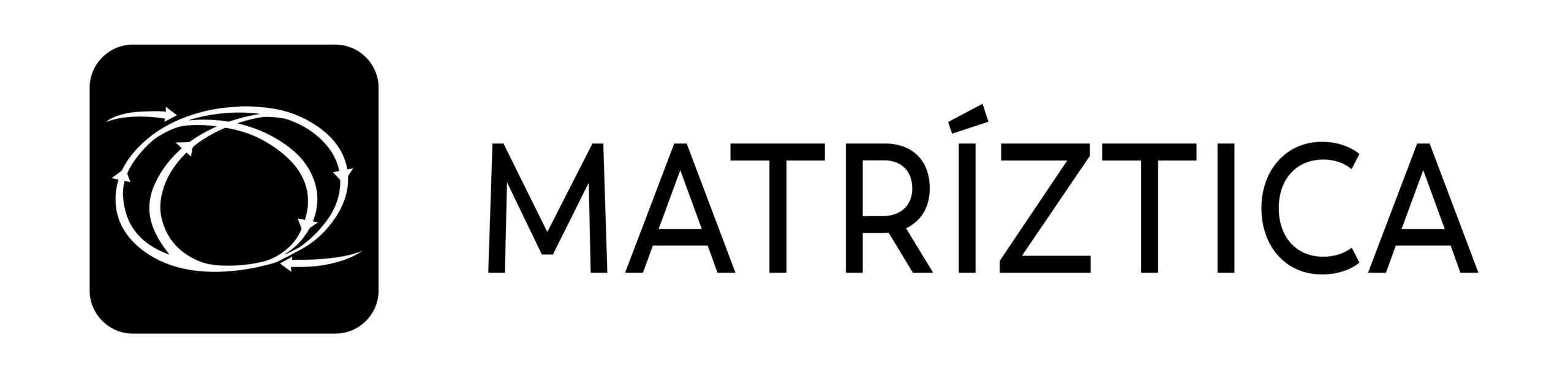 MATRIZTICA Logo Horizontal 12 Scaled | Capitel Consulting
